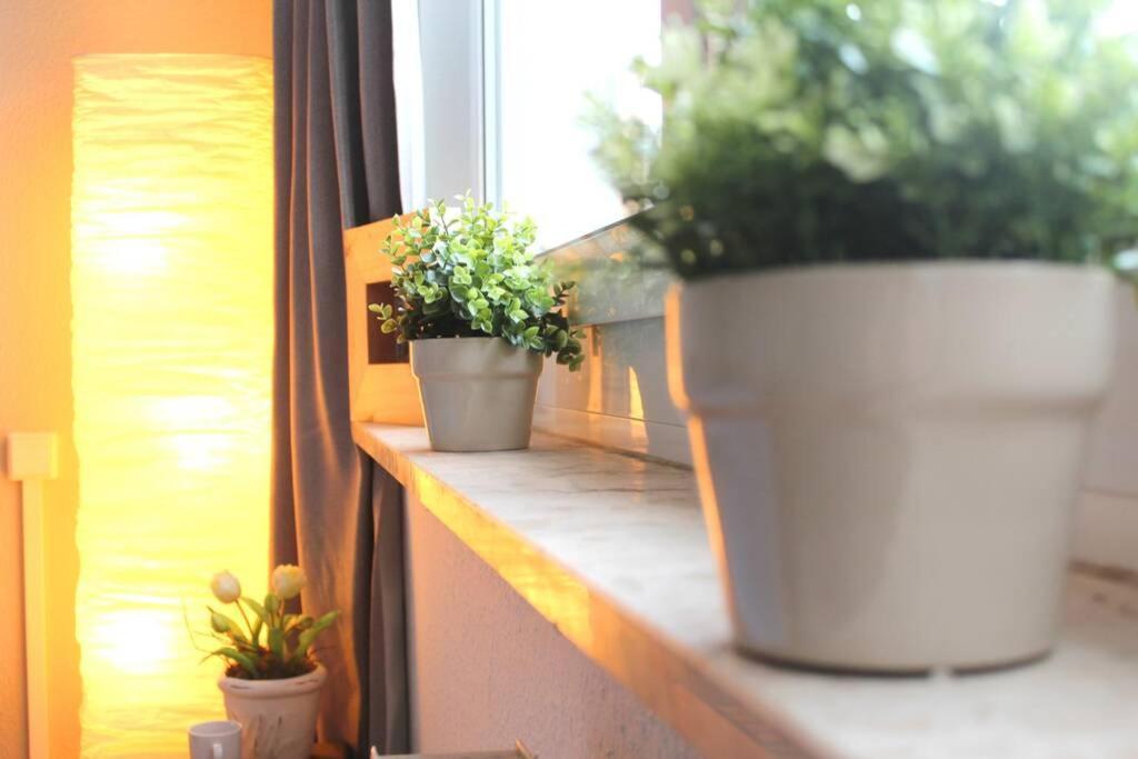 קמניץ Apartment Bella מראה חיצוני תמונה